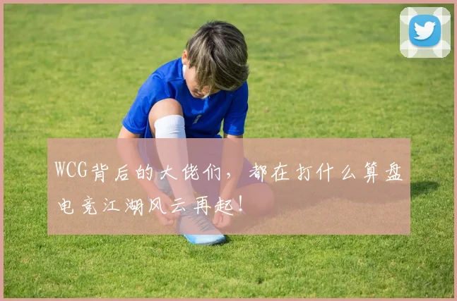 WCG背后的大佬们,都在打什么算盘电竞江湖风云再起!