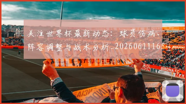 关注世界杯最新动态:球员伤病、阵容调整与战术分析_20260611165339